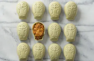 【８羽入】フクロウのフロランタンのサムネイル