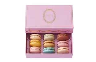 アンタンポレル・パルム マカロン 9個入り【白木あきこさん推薦】のサムネイル