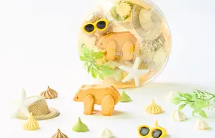 こぐまのパーティーボックス（summer）のサムネイル