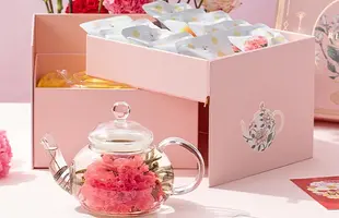 優雅セットのサムネイル