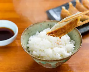 龍華山の白ごはん専門生餃子 40個入りの画像