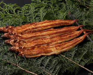 やきあなごの画像