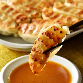 宇都宮 餃子 青源 45個のサブ画像B