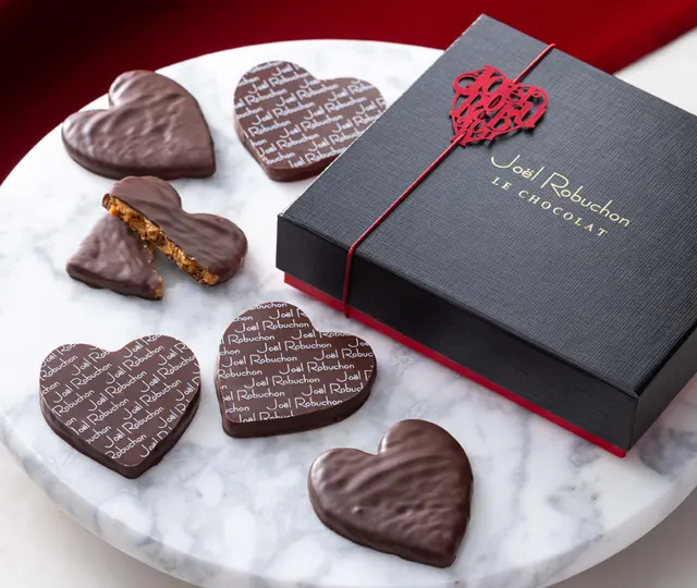 ビスキュイショコラ　6枚入り