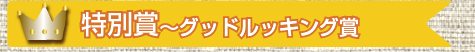 特別賞～グッドルッキング賞キャロットチョコフラン パティスリーポタジエ 