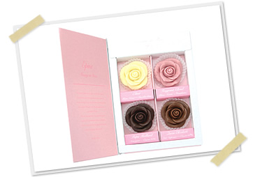 ���T�[�W���E�h�E���[�Y