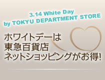 �z���C�g�f�[�͓��}�S�ݓX�l�b�g�V���b�s���O�������I