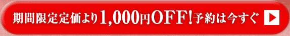 期間限定定価より1,000円OFF！予約は今すぐ