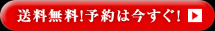 送料無料！予約は今すぐ！