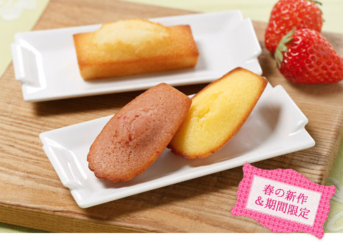 春の新作＆期間限定