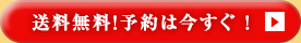送料無料！予約は今すぐ ！