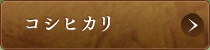 コシヒカリ