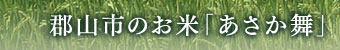 about-link-title
