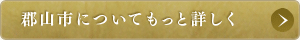 福島県郡山市についてもっと詳しく