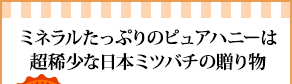 ミネラルたっぷりのピュアハニーは超稀少な日本ミツバチの贈り物