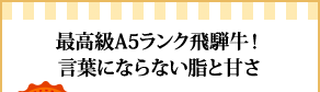 最高級A5ランク飛騨牛！言葉にならない脂と甘さ