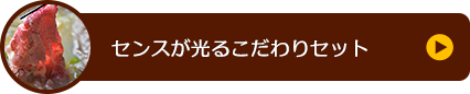 センスが光るこだわりセット