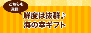 鮮度は抜群♪海の幸ギフト