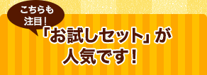 「お試しセット」が人気です！