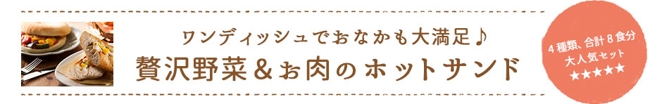 ワンディッシュでおなかも大満足♪贅沢野菜＆お肉のホットサンド