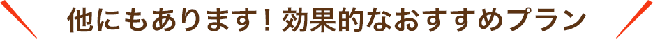 他にもあります！効果的なおすすめプラン