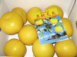 こだわりの逸品　約5kg：中玉
