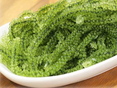 海ぶどう100ｇ×3パックセット