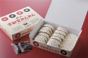 宇都宮みんみんの冷凍生餃子　30個入り