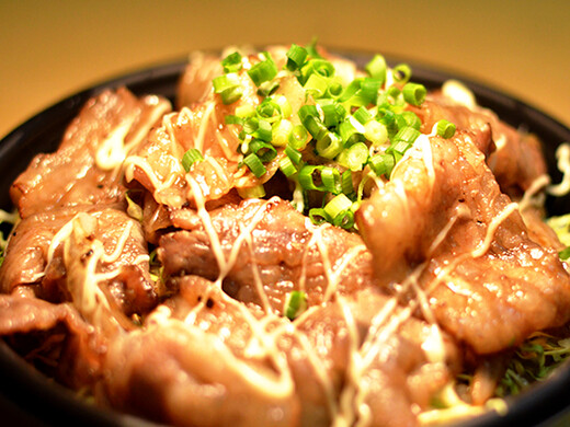 炭火豚丼の具（ぎゃん丼）10食