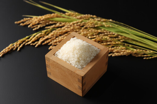 特別栽培米「飯南米こしひかり」（5kg）