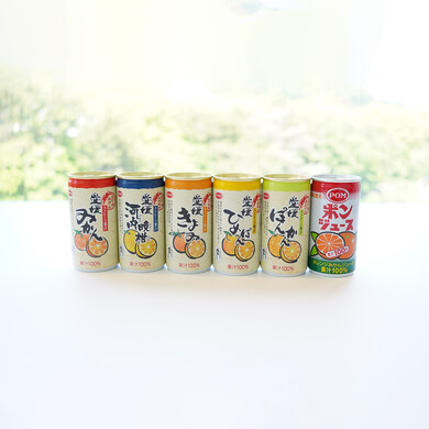 味わい柑橘の詰合せギフト(10本)