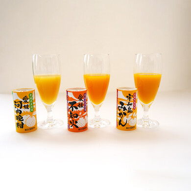 愛媛県産柑橘ジュース 飲み比べギフトセット 12本