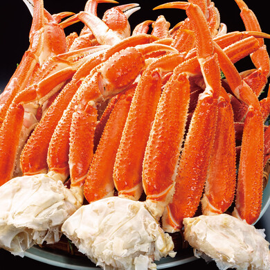 特大特選ボイルズワイガニ肩付き脚 総重量:約1.8kg(正味1.5kg)