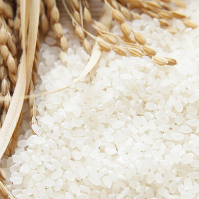 選べる便利で美味しい九州のお米（2kg）