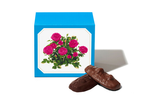 ショコラサブレ 8枚入