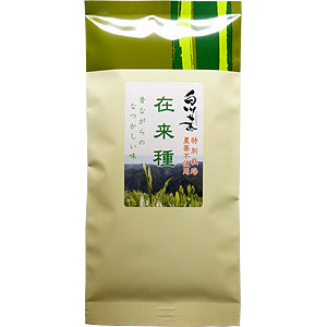 白川茶　在来種　100g