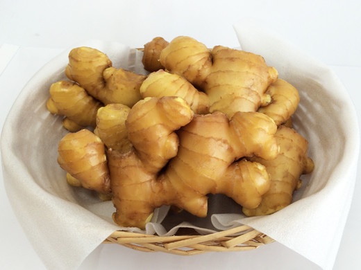 高知県産　黄金生姜（こがねしょうが）1kg