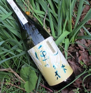 風の森 　阿波山田錦80　しぼり華　無濾過生原酒1800ml 