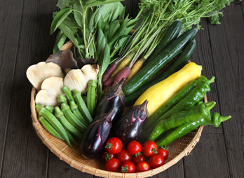 旬のお野菜セット（S）