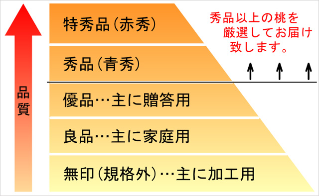 通販専門店ふるさと産直村 和歌山県産 桃の女王 清水白桃6玉 モニター審査員の口コミ 評判一覧 お取り寄せ口コミ検索 おとりよせネット 通販グルメ スイーツ ギフト 口コミ ランキング 通販専門店ふるさと産直村 和歌山県産 桃の女王 清水白桃6玉 モニター審査員の口コミ 評判一覧 お取り寄せ口コミ検索 おとりよせネット 通販グルメ スイーツ ギフト 口コミ ランキング