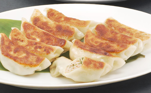焼餃子10個（5個入2パック）
