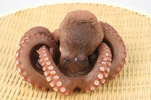 タコ漁師からの直送 七福丸の朝捕り ゆでタコ 小サイズ