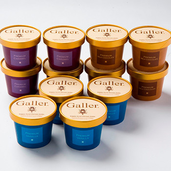 ベルギー王室御用達ブランド Galler(ガレー)監修　プレミアムアイスセット12個