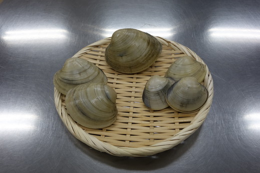 お試しホンビノス貝3サイズ各1kg　合計3kg
