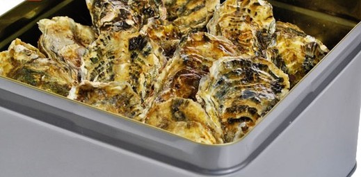 牡蠣 殻付き カンカン焼きセット２０個入