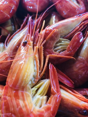 野付の北海シマエビ（大サイズ・1kg）