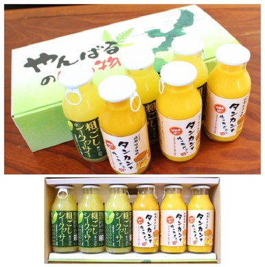 沖縄アロエギフト【粗ごしシークヮーサー・たんかん180ml×6本】