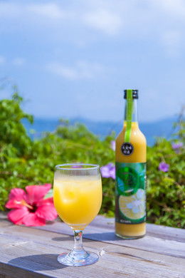 大宜味村産青切シークヮーサージュース(100%) 2本セット