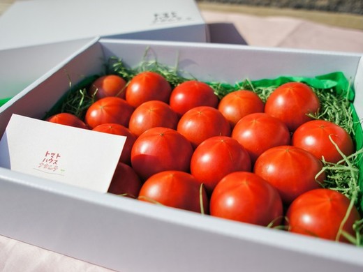 トマトハウスナカムラのフルーツトマトギフト(小)約1kg