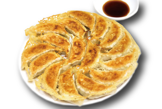 あしかが大麦餃子 送料無料 初回お試しパック【中】